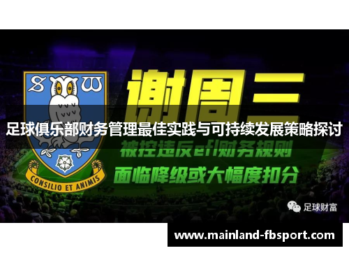 足球俱乐部财务管理最佳实践与可持续发展策略探讨